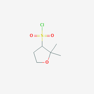 molecular formula C6H11ClO3S B13170344 2,2-Dimethyloxolane-3-sulfonyl chloride 