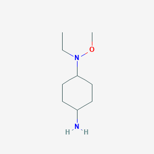 molecular formula C9H20N2O B13171793 N1-Ethyl-N1-methoxycyclohexane-1,4-diamine 