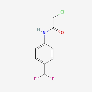 molecular formula C9H8ClF2NO B13171907 2-chloro-N-[4-(difluoromethyl)phenyl]acetamide 