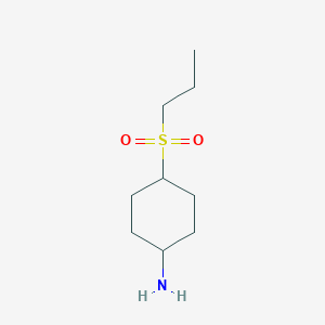 molecular formula C9H19NO2S B13171963 4-(Propane-1-sulfonyl)cyclohexan-1-amine 