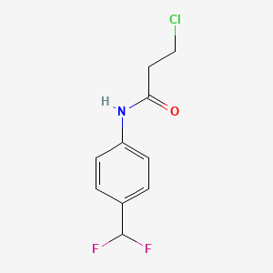 molecular formula C10H10ClF2NO B13172370 3-Chloro-N-[4-(difluoromethyl)phenyl]propanamide 