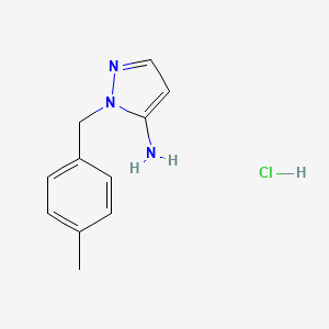 molecular formula C11H14ClN3 B13173031 2-[(4-Methylphenyl)methyl]-2,3-dihydro-1H-pyrazol-3-imine hydrochloride 