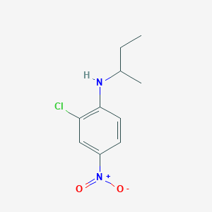 molecular formula C10H13ClN2O2 B13173176 N-(Butan-2-yl)-2-chloro-4-nitroaniline 