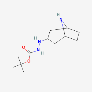 N'-{8-azabicyclo[3.2.1]octan-3-yl}(tert-butoxy)carbohydrazide