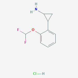 molecular formula C10H12ClF2NO B13174149 2-[2-(Difluoromethoxy)phenyl]cyclopropan-1-amine hydrochloride 