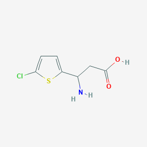 molecular formula C7H8ClNO2S B13175298 3-Amino-3-(5-chlorothiophen-2-yl)propanoic acid 