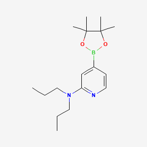 N,N-Dipropyl-4-(tetramethyl-1,3,2-dioxaborolan-2-yl)pyridin-2-amine