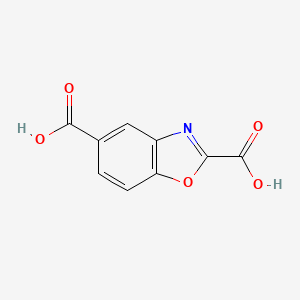 molecular formula C9H5NO5 B13177537 1,3-Benzoxazole-2,5-dicarboxylic acid 