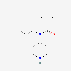 molecular formula C13H24N2O B13179383 N-(Piperidin-4-YL)-N-propylcyclobutanecarboxamide 