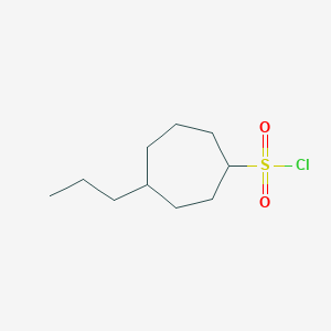 molecular formula C10H19ClO2S B13180289 4-Propylcycloheptane-1-sulfonyl chloride 