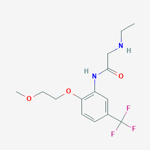 molecular formula C14H19F3N2O3 B13182216 2-(ethylamino)-N-[2-(2-methoxyethoxy)-5-(trifluoromethyl)phenyl]acetamide 