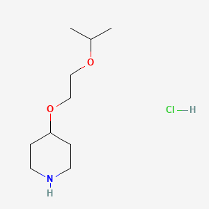 molecular formula C10H22ClNO2 B13182453 4-[2-(Propan-2-yloxy)ethoxy]piperidine hydrochloride 