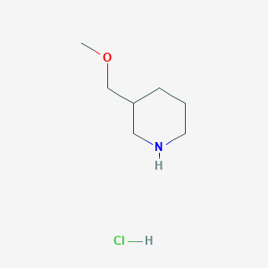 molecular formula C7H16ClNO B1318311 3-(甲氧基甲基)哌啶盐酸盐 CAS No. 688809-97-4