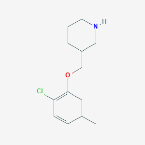 molecular formula C13H18ClNO B1318315 2-氯-5-甲基苯基 3-哌啶基甲基醚 CAS No. 883517-41-7