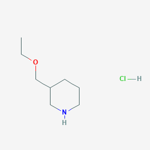 molecular formula C8H18ClNO B1318317 3-(Ethoxymethyl)piperidine hydrochloride CAS No. 956324-36-0
