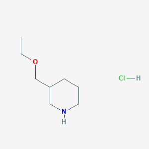 molecular formula C8H18ClNO B1318317 3-(乙氧基甲基)哌啶盐酸盐 CAS No. 956324-36-0