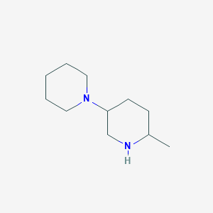 molecular formula C11H22N2 B13183479 2-Methyl-5-(piperidin-1-yl)piperidine 