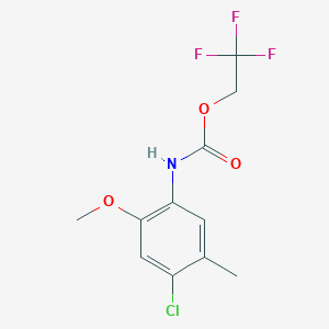 molecular formula C11H11ClF3NO3 B13185571 2,2,2-trifluoroethyl N-(4-chloro-2-methoxy-5-methylphenyl)carbamate 