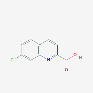 molecular formula C11H8ClNO2 B13185904 7-Chloro-4-methylquinoline-2-carboxylic acid 