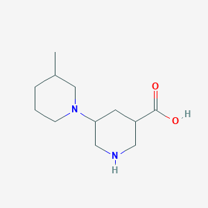 molecular formula C12H22N2O2 B13186015 5-(3-Methylpiperidin-1-yl)piperidine-3-carboxylic acid 