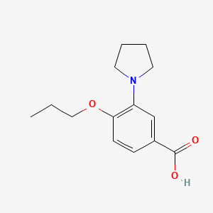 molecular formula C14H19NO3 B1318632 4-Propoxy-3-pyrrolidin-1-yl-benzoic acid CAS No. 946783-42-2
