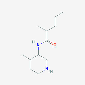 molecular formula C12H24N2O B13186710 2-methyl-N-(4-methylpiperidin-3-yl)pentanamide 