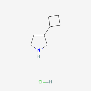 molecular formula C8H16ClN B13188556 3-Cyclobutylpyrrolidine hydrochloride 