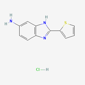 molecular formula C11H10ClN3S B13188835 2-(thiophen-2-yl)-1H-1,3-benzodiazol-5-amine hydrochloride 