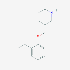 molecular formula C14H21NO B1318931 3-[(2-Ethylphenoxy)methyl]piperidine CAS No. 802037-46-3