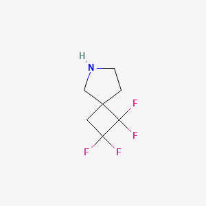 molecular formula C7H9F4N B13190256 1,1,2,2-Tetrafluoro-6-azaspiro[3.4]octane CAS No. 2091592-25-3