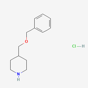 molecular formula C13H20ClNO B1319066 4-[(苄氧基)甲基]哌啶盐酸盐 CAS No. 301226-92-6
