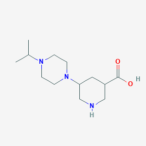 molecular formula C13H25N3O2 B13191109 5-[4-(Propan-2-yl)piperazin-1-yl]piperidine-3-carboxylic acid 