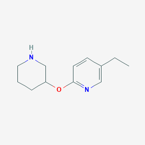 molecular formula C12H18N2O B13191230 5-Ethyl-2-(piperidin-3-yloxy)pyridine 