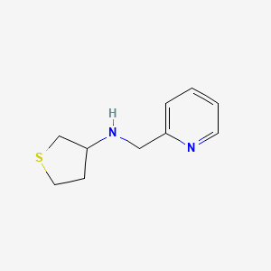 molecular formula C10H14N2S B13191818 N-(pyridin-2-ylmethyl)-N-tetrahydrothien-3-ylamine 