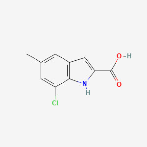 molecular formula C10H8ClNO2 B13192839 7-chloro-5-methyl-1H-indole-2-carboxylic Acid 