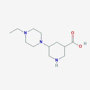 5-(4-Ethylpiperazin-1-yl)piperidine-3-carboxylic acid