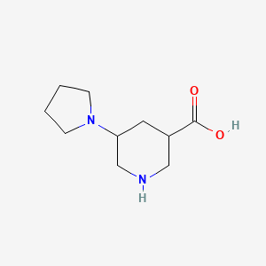 5-(Pyrrolidin-1-YL)piperidine-3-carboxylic acid