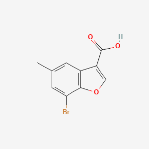 molecular formula C10H7BrO3 B13194103 7-Bromo-5-methyl-1-benzofuran-3-carboxylic acid 