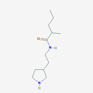 molecular formula C12H24N2O B13194839 2-Methyl-N-[2-(pyrrolidin-3-YL)ethyl]pentanamide 