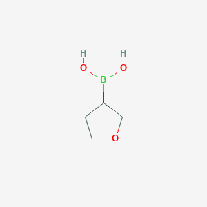 molecular formula C4H9BO3 B1319506 (四氢呋喃-3-基)硼酸 CAS No. 260369-10-6