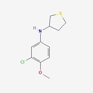 molecular formula C11H14ClNOS B13196476 N-(3-chloro-4-methoxyphenyl)thiolan-3-amine 