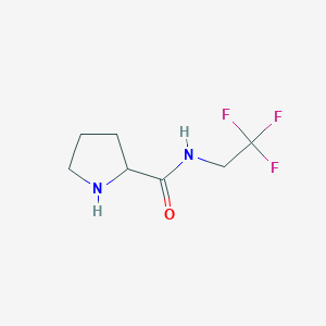 molecular formula C7H11F3N2O B13197680 N-(2,2,2-trifluoroethyl)pyrrolidine-2-carboxamide 