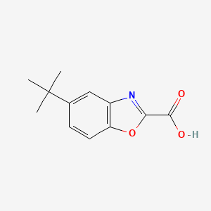 5-tert-Butyl-1,3-benzoxazole-2-carboxylic acid