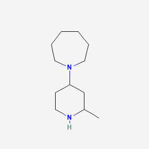 molecular formula C12H24N2 B13198056 1-(2-Methylpiperidin-4-yl)azepane 