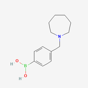 molecular formula C13H20BNO2 B13198253 (4-(Azepan-1-ylmethyl)phenyl)boronic acid 