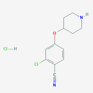 molecular formula C12H14Cl2N2O B1319996 2-Chloro-4-(piperidin-4-yloxy)benzonitrile hydrochloride CAS No. 1620482-39-4