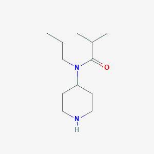 molecular formula C12H24N2O B13200034 2-Methyl-N-(piperidin-4-YL)-N-propylpropanamide 