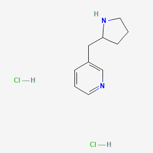 molecular formula C10H16Cl2N2 B1320017 3-吡咯烷-2-基甲基吡啶二盐酸盐 CAS No. 1003561-86-1