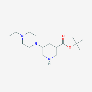 molecular formula C16H31N3O2 B13200711 tert-Butyl 5-(4-ethylpiperazin-1-yl)piperidine-3-carboxylate 