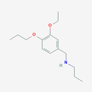 molecular formula C15H25NO2 B13209065 [(3-Ethoxy-4-propoxyphenyl)methyl](propyl)amine 